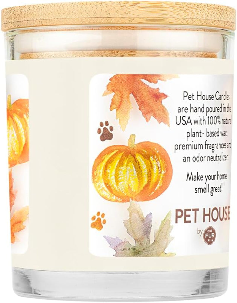 Pet House Candle 2 Pack - Plant-Based/Soy Candle - Clean Burning Scented Candles, Long Lasting Pet Odor Candle for Home - Pumpkin Pie