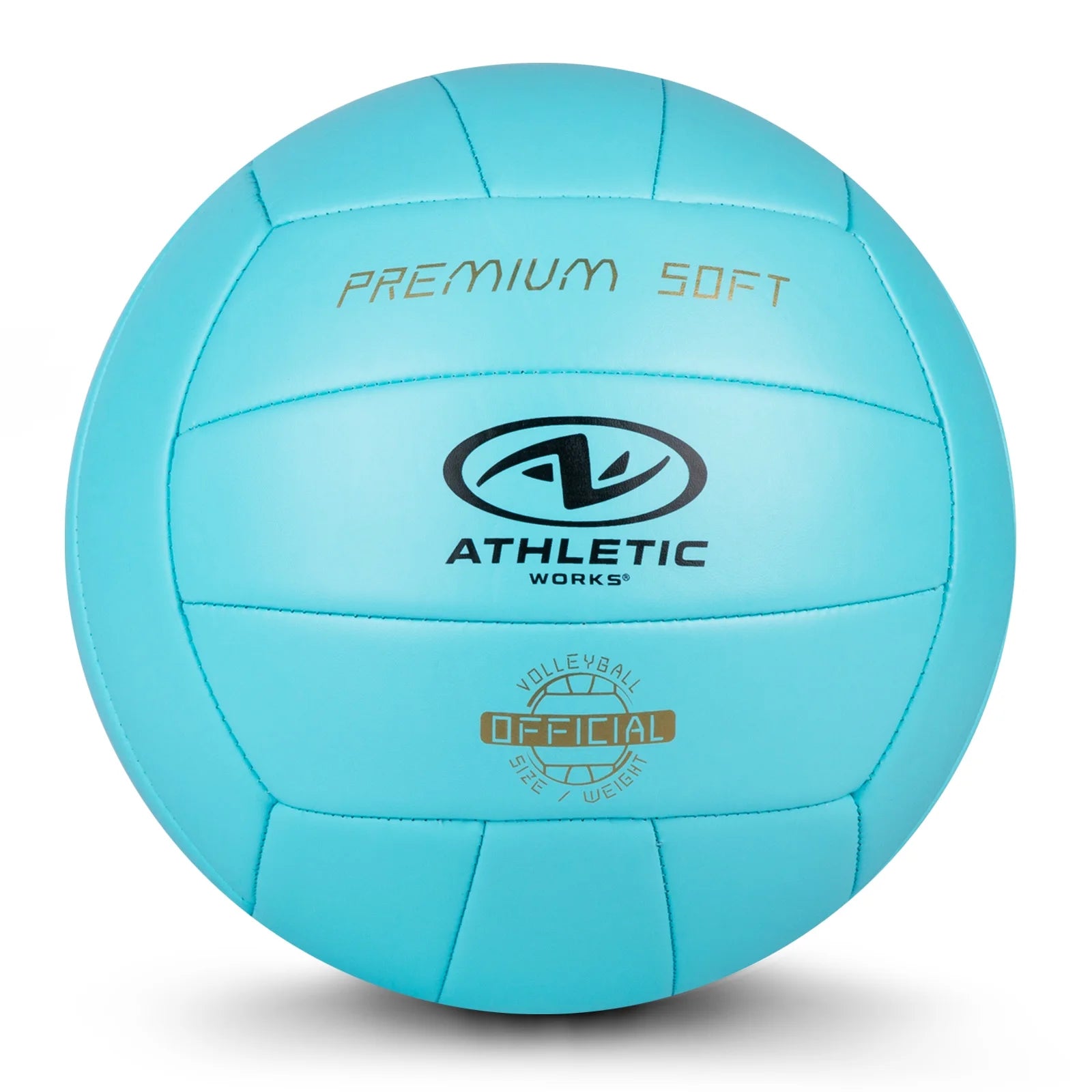 Size 5 Premium Soft Volleyball, Blue