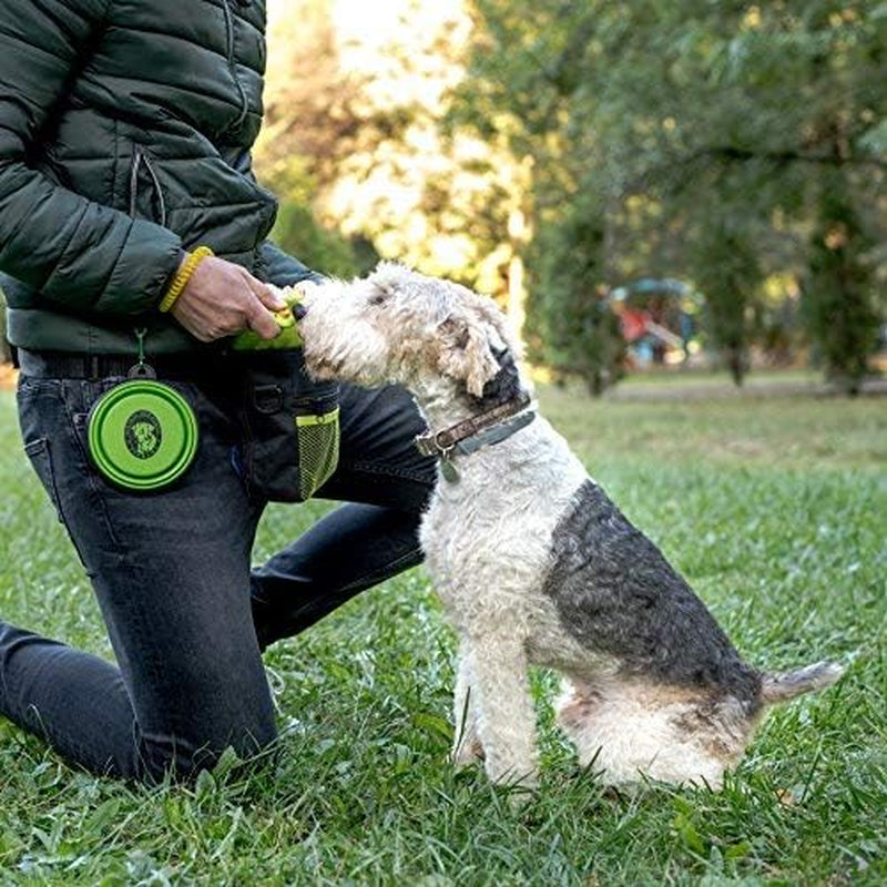 Dog Treat Pouch - Premium Training Treat Bag with Clicker and Collapsible Bowl for Dogs, Adjustable Waist and Shoulder Reflective Straps and Belt Clip, Ideal for Pet Obedience and Agility Training