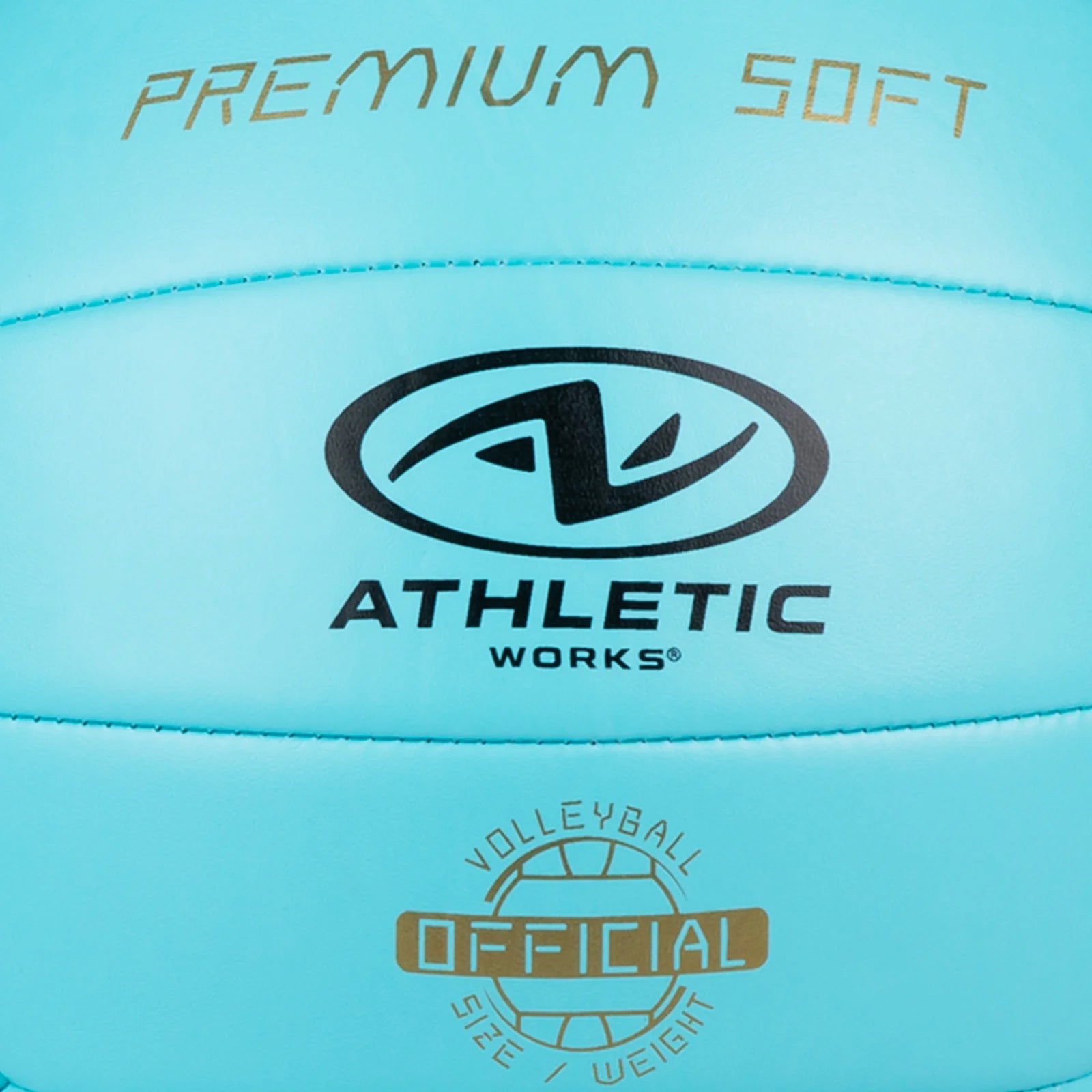 Size 5 Premium Soft Volleyball, Blue